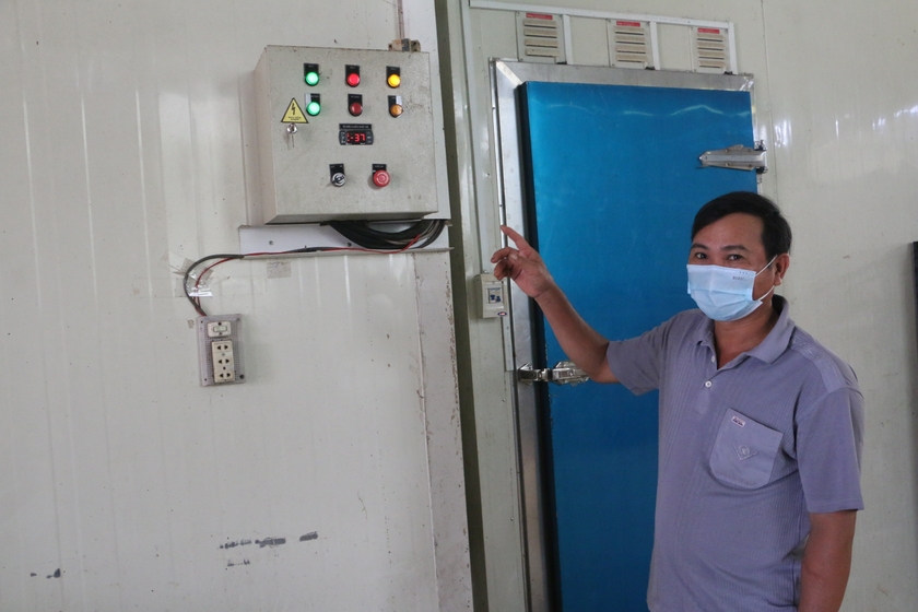 Người tiên phong chế biến bơ đông lạnh Muốn giữ được độ tươi, màu sắc và chất lượng bơ thì cần làm lạnh cấp tốc ở nhiệt độ thích hợp