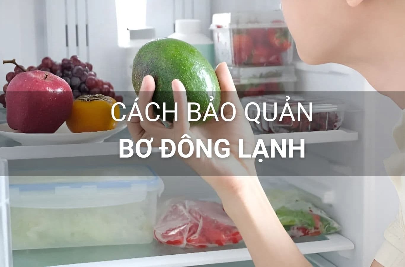 cach bao quan bo dong lanh 9133