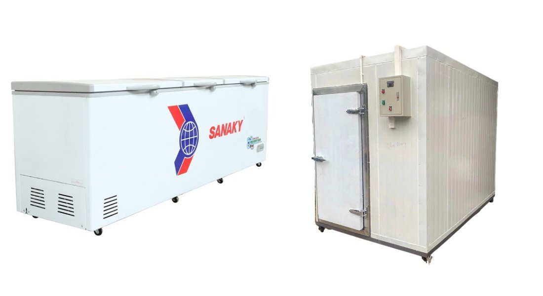 Cách bảo quản Trái cây đông lạnh: 4 bí quyết giúp duy trì chất lượng p1
