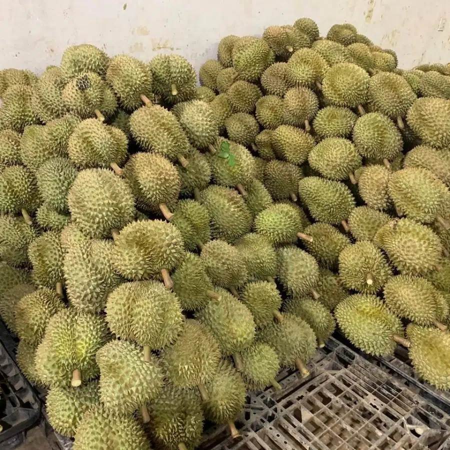 Sầu Riêng Đông Lạnh 1kg Sầu Riêng Đông Lạnh 1kg - Ảnh 7