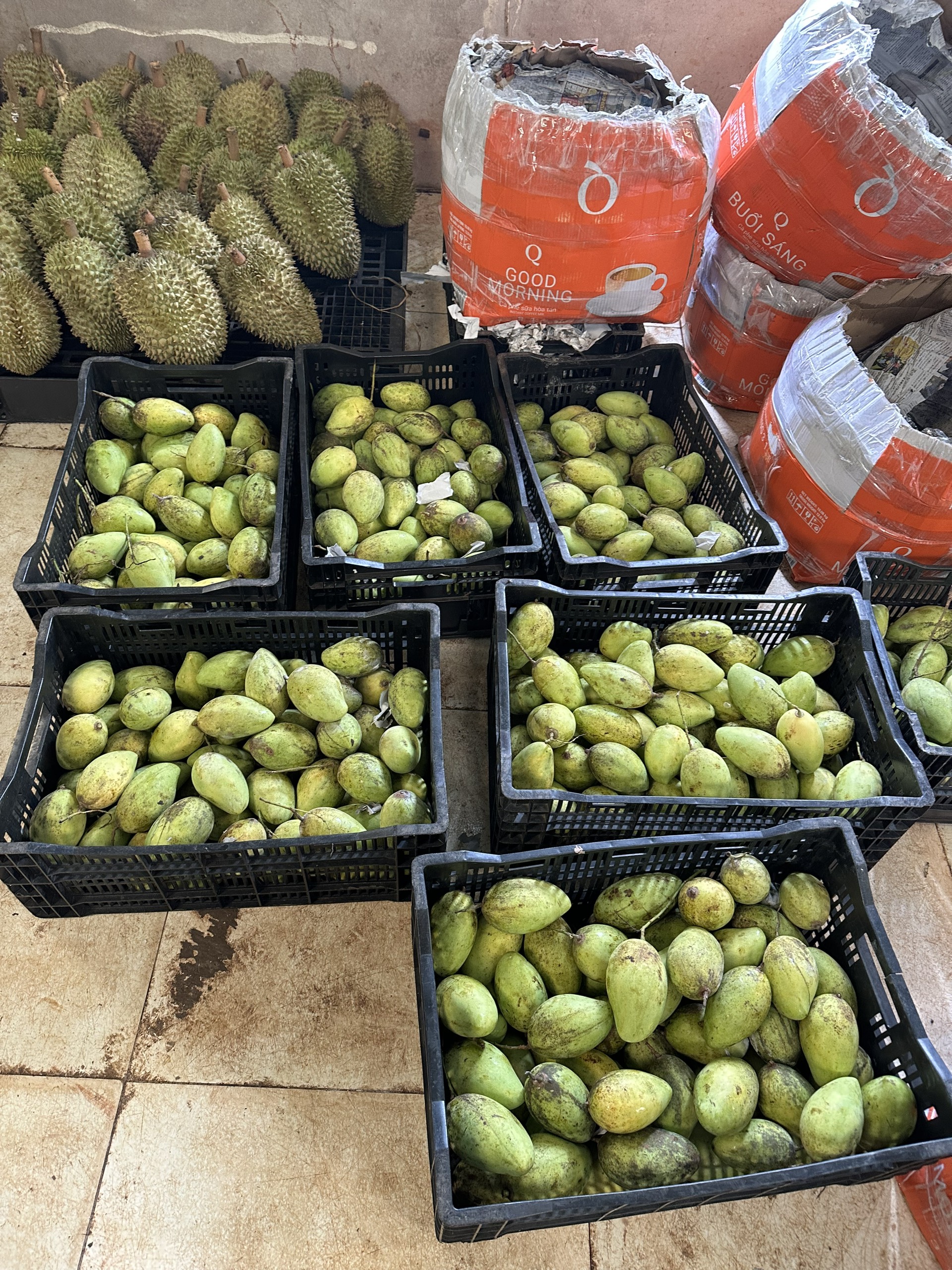 Giới thiệu Nguyên liệu trái cây tươi dùng làm trái cây đông lạnh