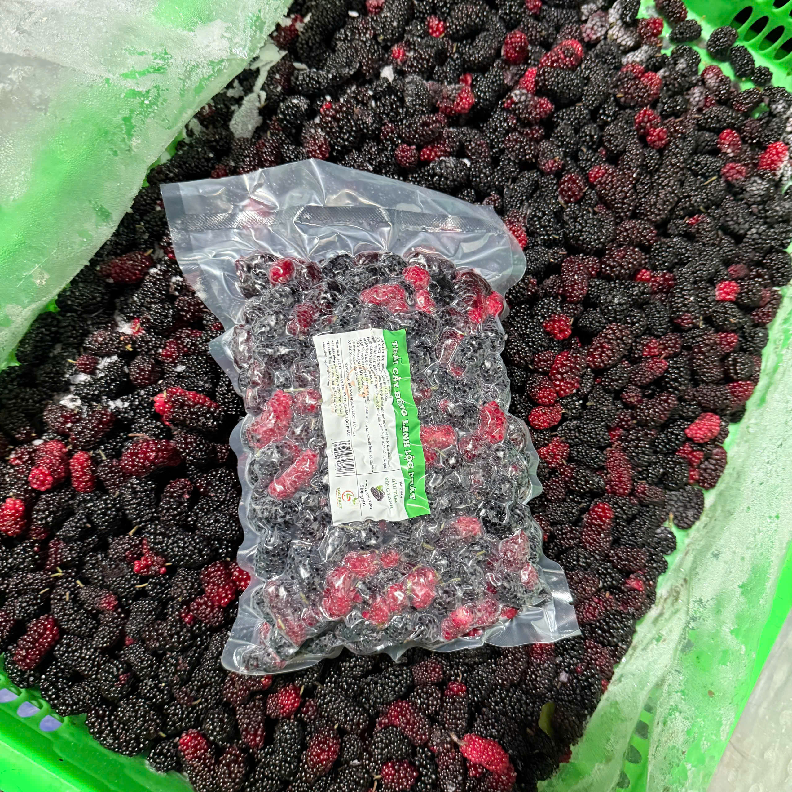 Dâu Tằm Đông Lạnh 500gr Dâu tằm đông lạnh