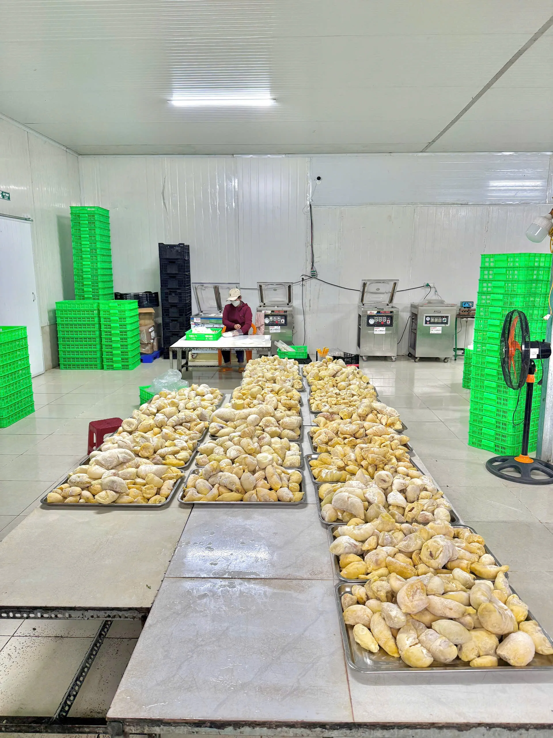 Sầu Riêng Đông Lạnh 1kg Phong san xuat Loc Phat Foods